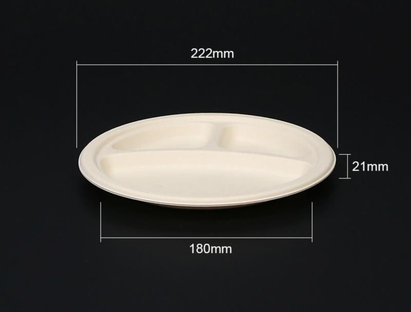 Biodegradable bagasse plate