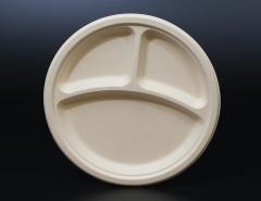 Biodegradable bagasse plate