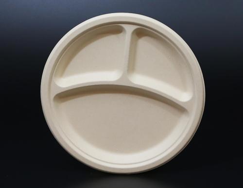 Biodegradable bagasse plate