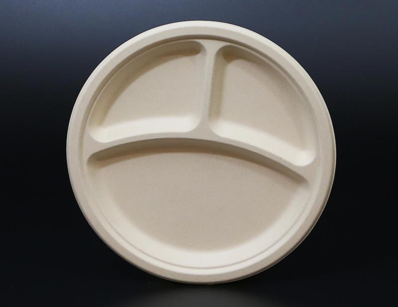 Biodegradable bagasse plate