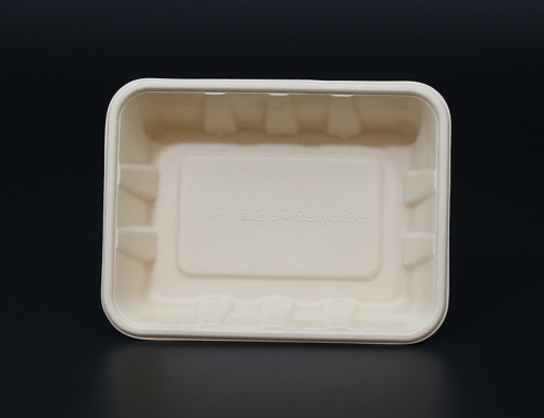 Biodegradable bagasse tray