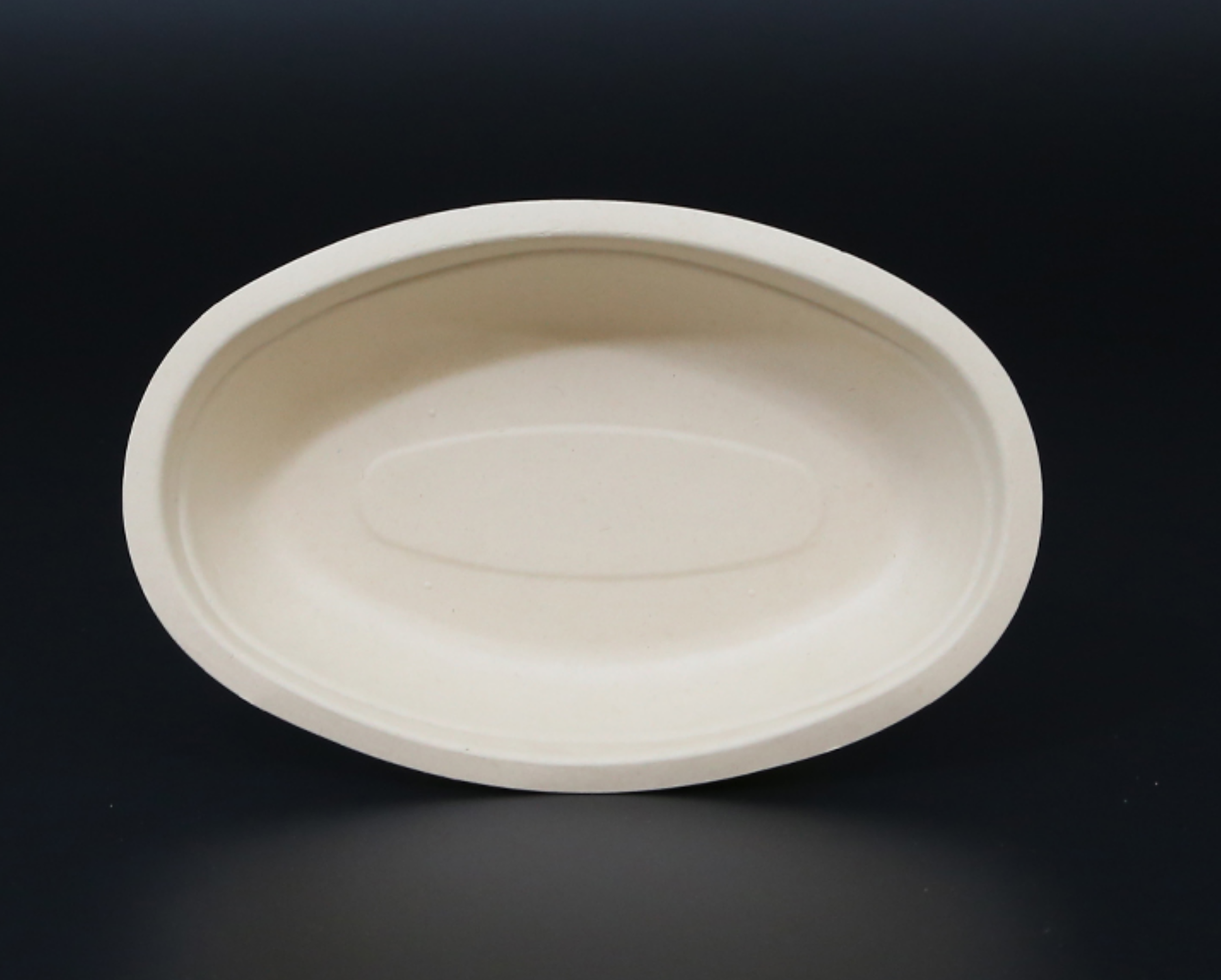 Biodegradable bagasse bowl