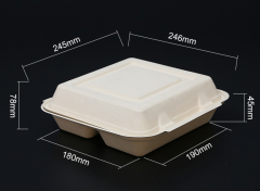 Biodegradable bagasse clamshells
