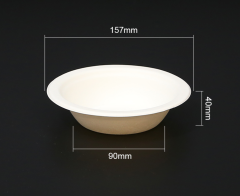 Biodegradable bagasse bowl