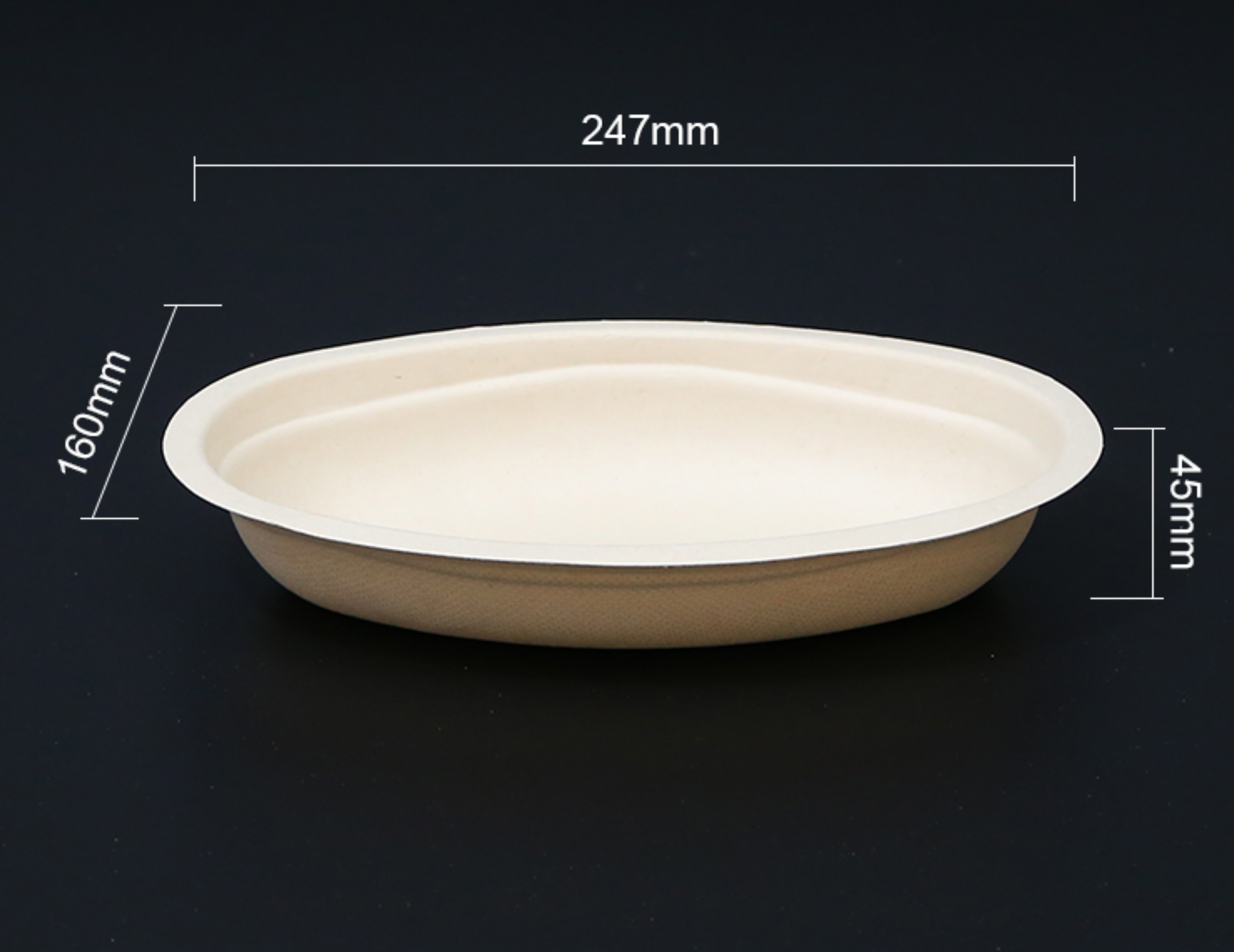 Biodegradable bagasse bowl
