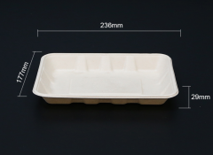 Biodegradable bagasse tray