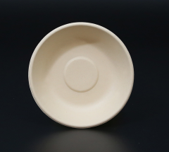 Biodegradable bagasse bowl