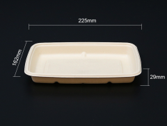 Biodegradable bagasse tray