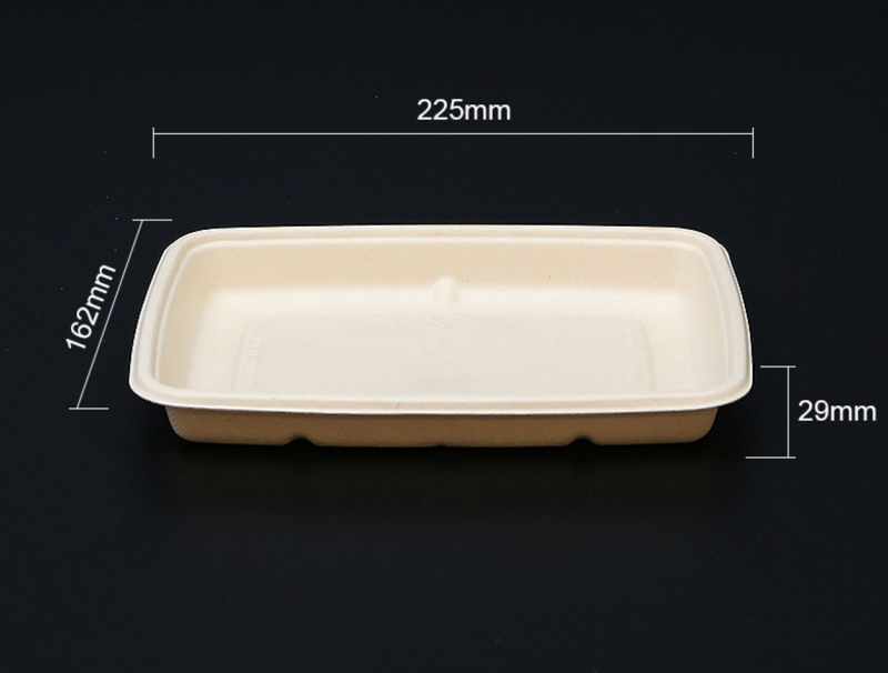 Biodegradable bagasse tray