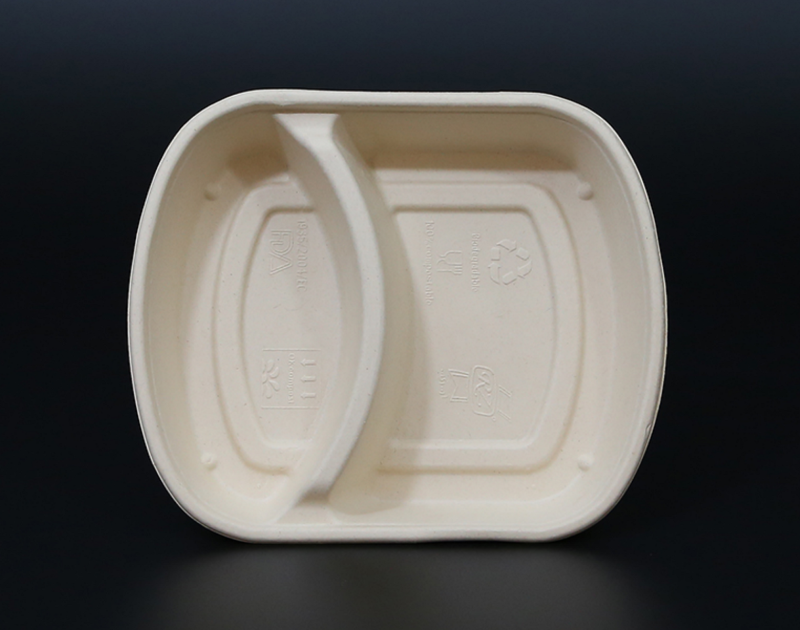 Biodegradable bagasse box
