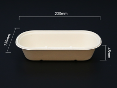 Biodegradable bagasse box