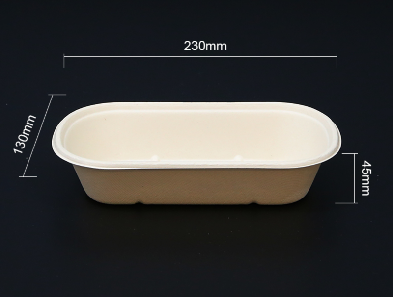 Biodegradable bagasse box