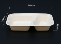Biodegradable bagasse box