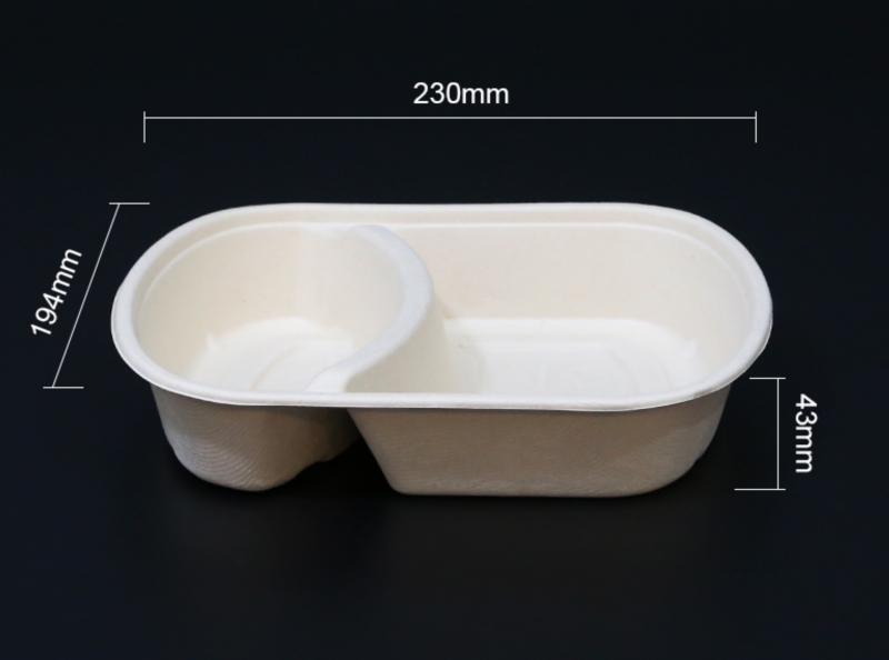 Biodegradable bagasse box