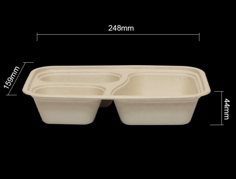 Biodegradable bagasse box