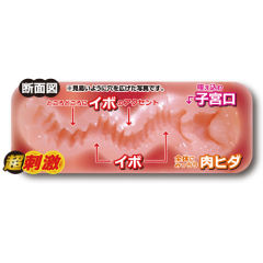 ToysHeart 工口姐姐超刺激版 第二代 動漫名器飛機杯