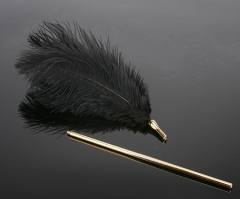 鴕鳥毛調情棒