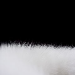 UPKO｜狐狸尾巴肛塞