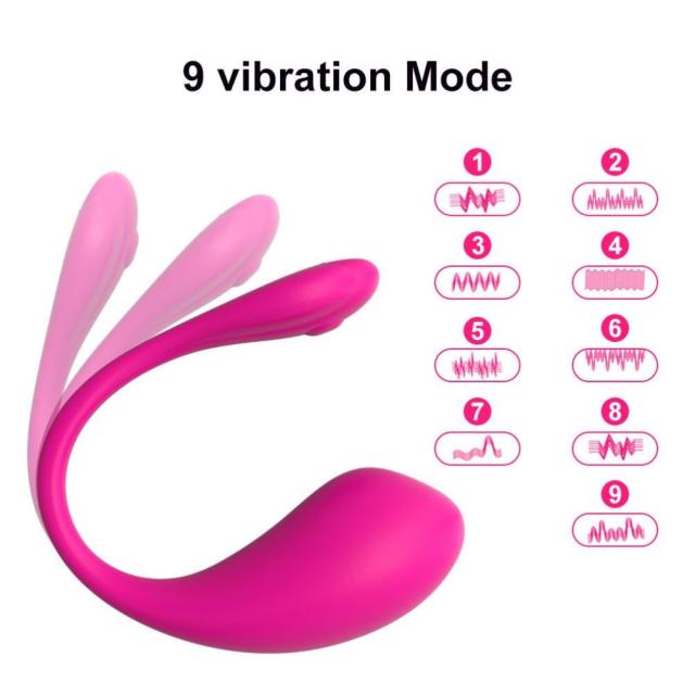 Lovense Lush 2 智能無線震蛋