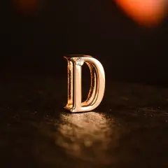 【FUNINXXOO】高端SM牛皮字母项圈 可DIY