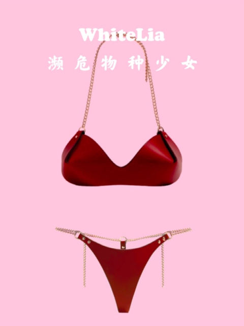 3层皮料链条束缚皮质性感内衣