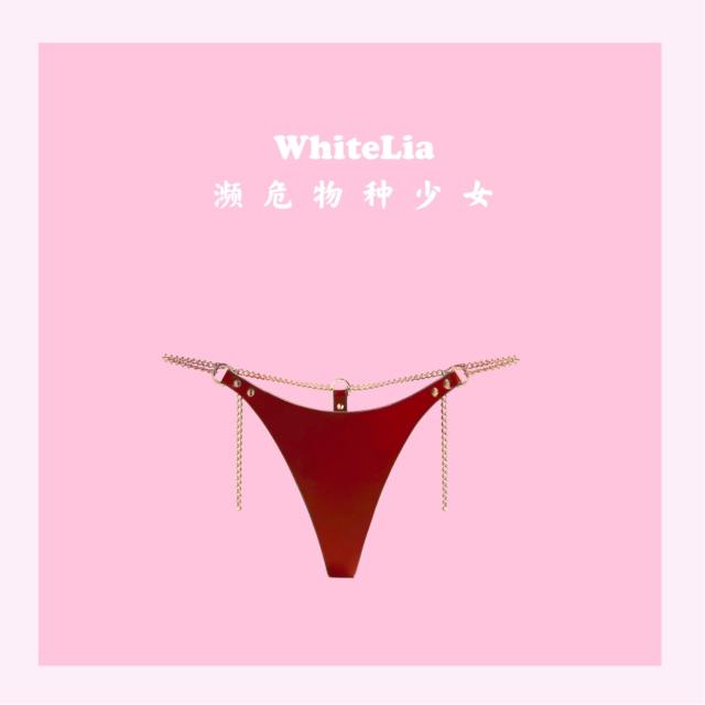 3层皮料链条束缚皮质性感内衣