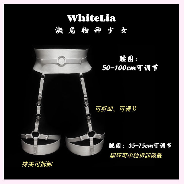 复古束缚带装饰衣性感塑小胸腿环吊袜带套装