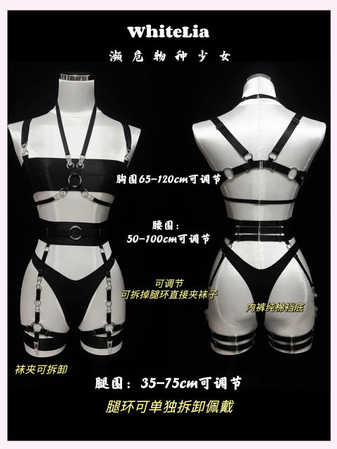 暗夜 重工丝光束缚带装饰衣可调节吊袜带分体套装