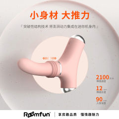 【roomfun】手持炮机