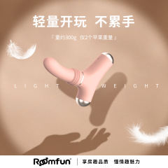 【roomfun】手持炮机