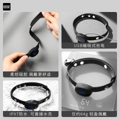 【困龙】电击情趣项圈（送：调教手册）