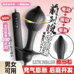 【wildone】充气肛塞（送：后庭润滑液）#日本前列腺按摩肛塞后庭开发另类扩肛器肛门性用品gay男情趣跳蛋