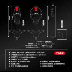 【wildone】充气肛塞（送：后庭润滑液）#日本前列腺按摩肛塞后庭开发另类扩肛器肛门性用品gay男情趣跳蛋