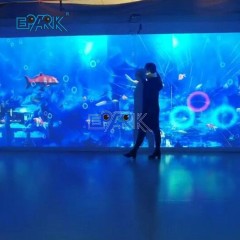 AR Interactive Technology Park Products Holographic Wall Games Flower Sea Projection Interaction