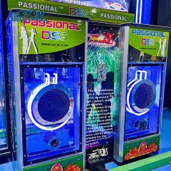 Amusement Park 47 Inch Dancing Machine Coin Operated Game Machine Juego Arcade Two Person Somatosensory Dancing Machine
