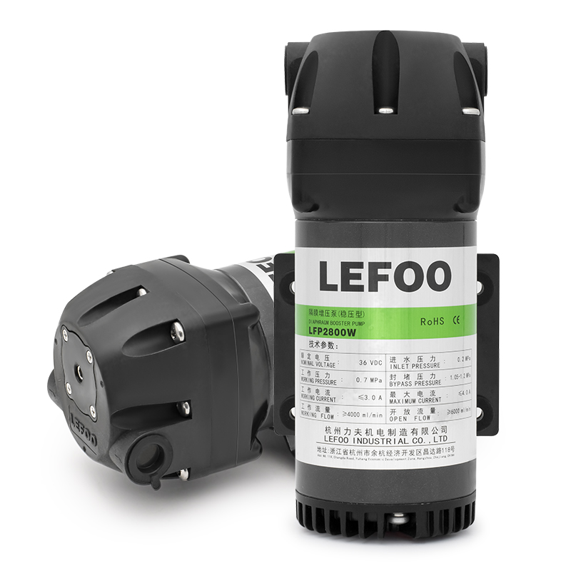 LFP 800A Series 24&36VDC 800GPD