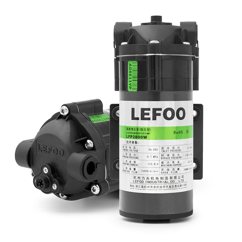 LFP 800 Series 24&36VDC 800GPD