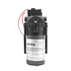 LEFOO 12VDC Demand Delivery Pump
