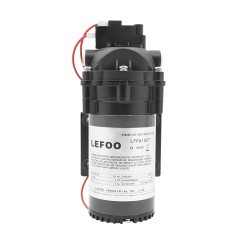 LEFOO 230VAC Demand Delivery Pump