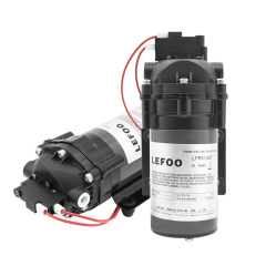 LEFOO 12VDC Demand Delivery Pump