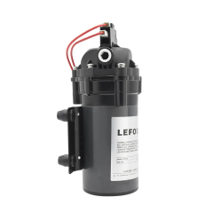 LEFOO 12VDC Demand Delivery Pump