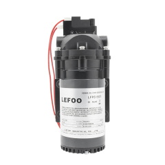 LEFOO 115VAC Demand Delivery Pump