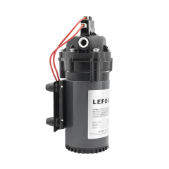 LEFOO 230VAC Demand Delivery Pump