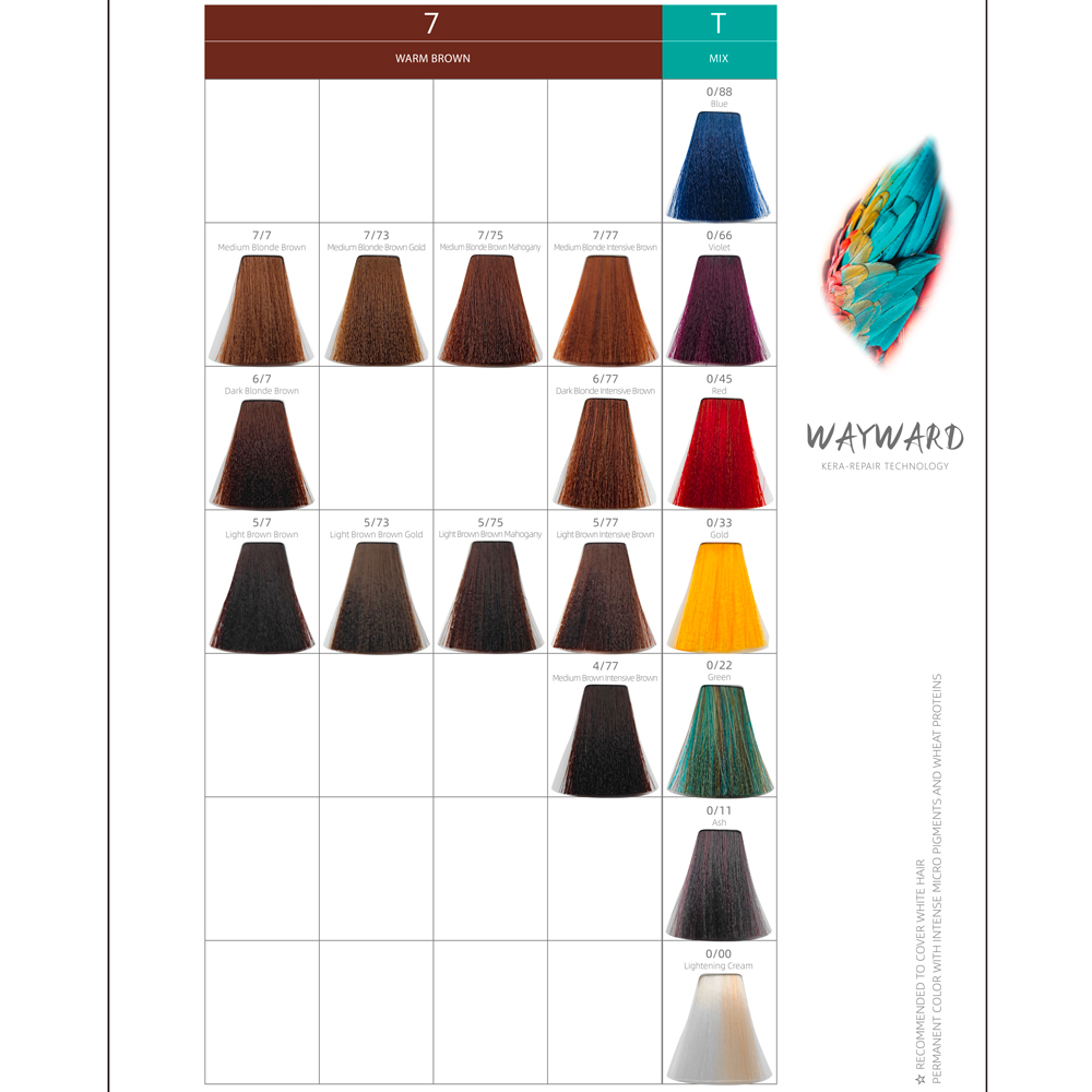 Color Chart for hair salons