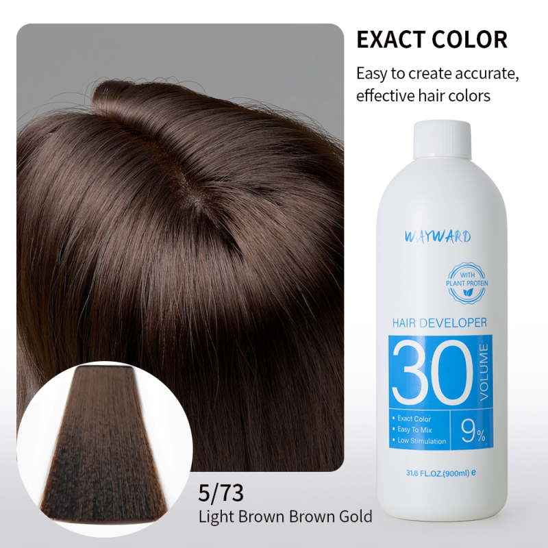 900ml Wayward hair salon use hair dye peroxide cream hair developer
