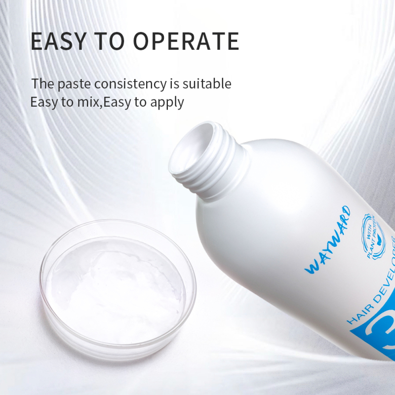 900ml Wayward hair salon use hair dye peroxide cream hair developer