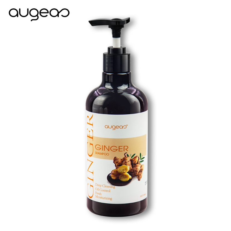 wholesale 500ml ginger hair shampoo