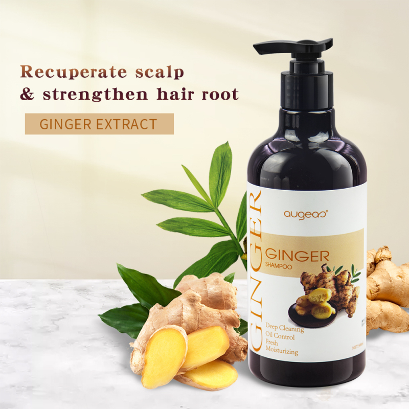 wholesale 500ml ginger hair shampoo