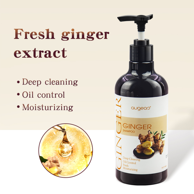 wholesale 500ml ginger hair shampoo