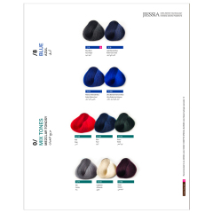 Jiessia 67 color hair color chart